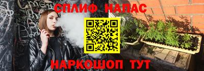 мдпв Донской