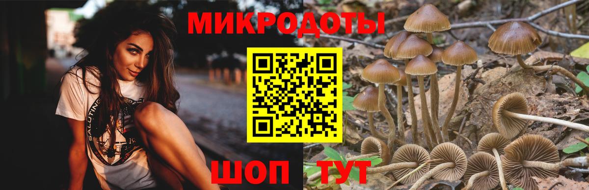 Кубинка  Галлюциногенные грибы Psilocybe  где продают   Вход с VPN  Псилоцибиновые грибы Cubensis 